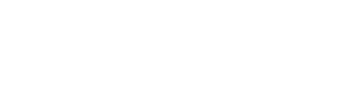 Line Up